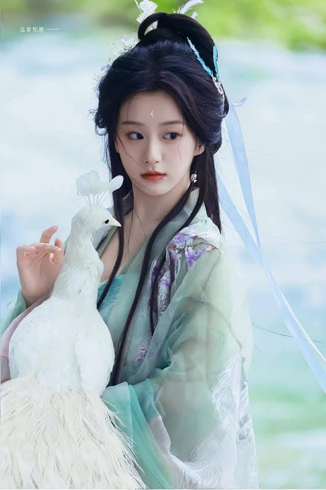 Hoài Trúc