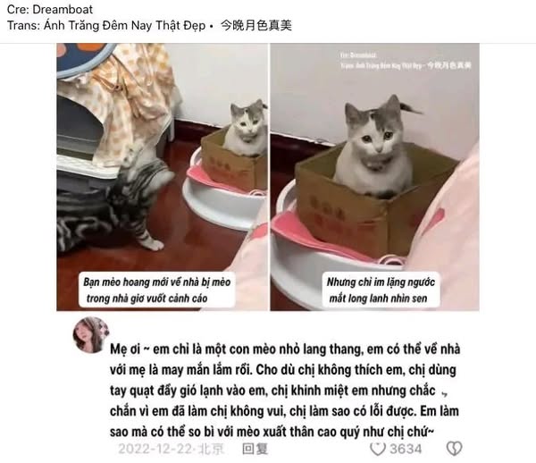 Bạch nguyệt Quang của chồng bất ngờ có nhà mới