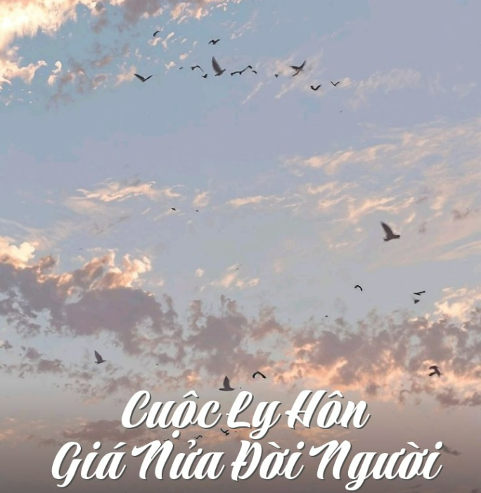 Cuộc Ly Hôn Giá Nửa Đời Người